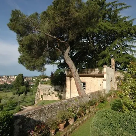 Le Camelie Siena